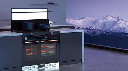 2024年集成灶销量前十产品盘点 互联网销售市场格局分析